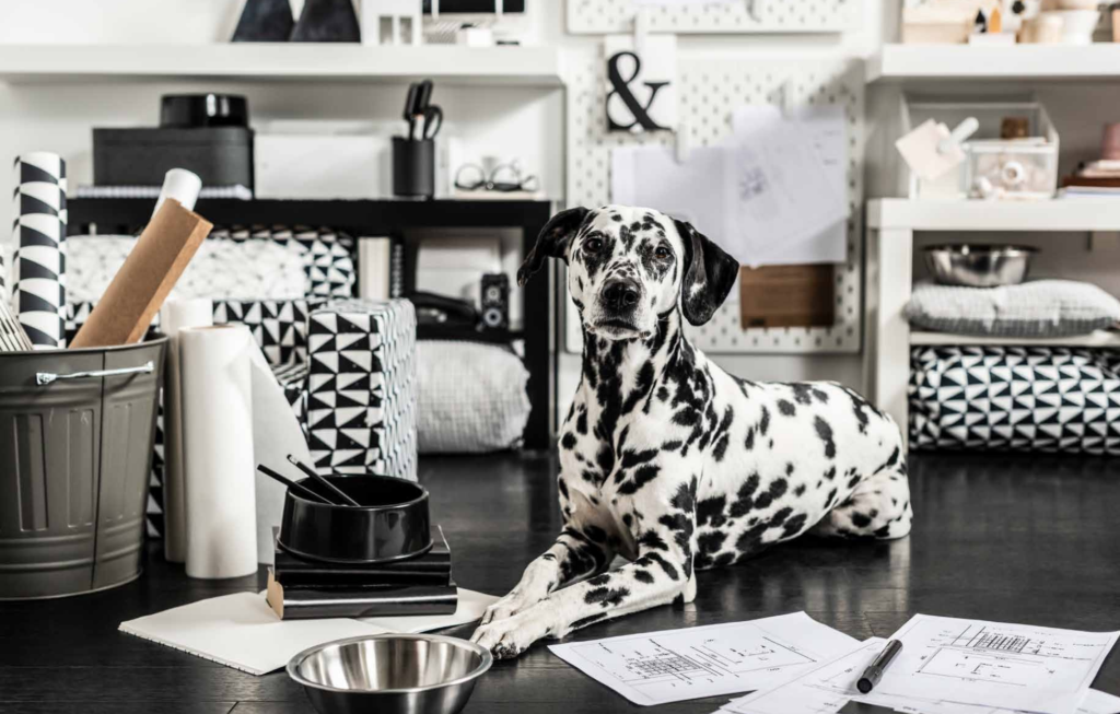 Ikea Les Nouveautes De La Collection Lurvig Pour Animaux Idees Deco