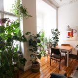 mes-astuces-plantes-interieur-1